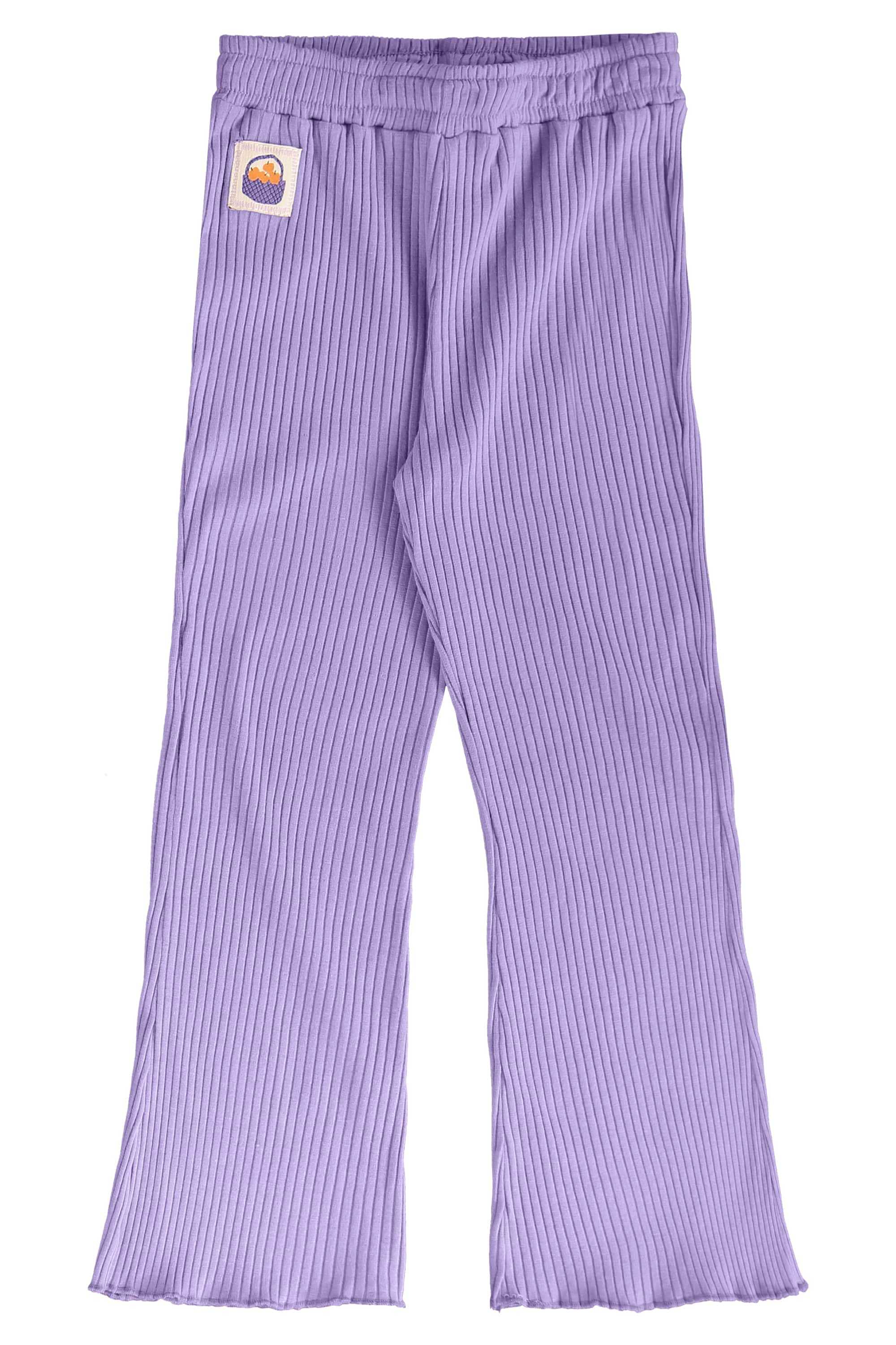 Conjunto Infantil Jardim Secreto com Blusão e Calça (Roxo) Três e Já - Imagem 20